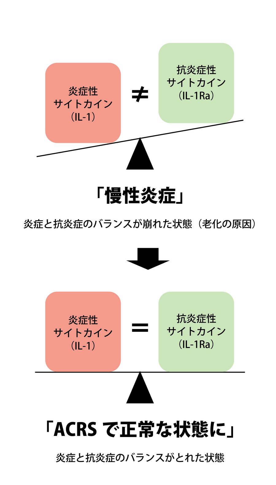 サイトカインバランスの図解:炎症性サイトカイン(IL-1)と抗炎症性サイトカイン(IL-1Ra)のバランスが崩れた状態が慢性炎症(老化の原因)。ACRSでバランスがとれた正常な状態に戻す